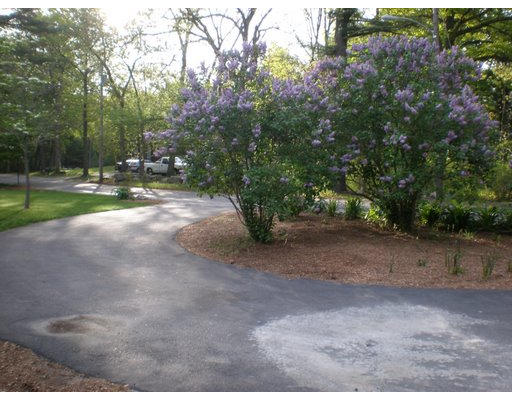 427 Treble Cove Road Billerica, MA 01862 - Photo 19 of 23 a view of a yard with large trees