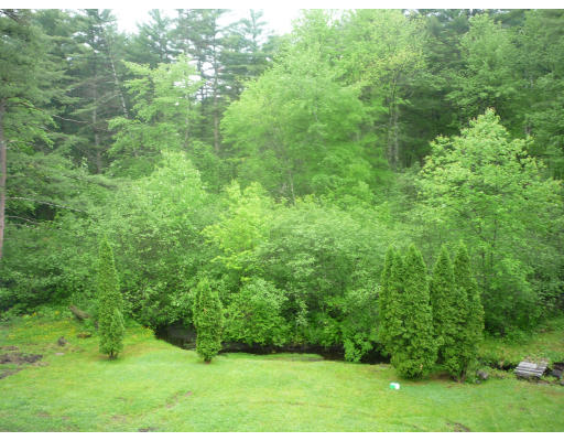 427 Treble Cove Road Billerica, MA 01862 - Photo 23 of 23 a view of a yard with an trees