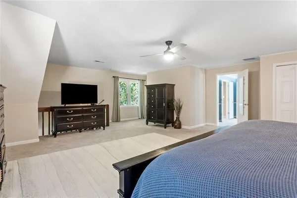 a view of a forest with trees