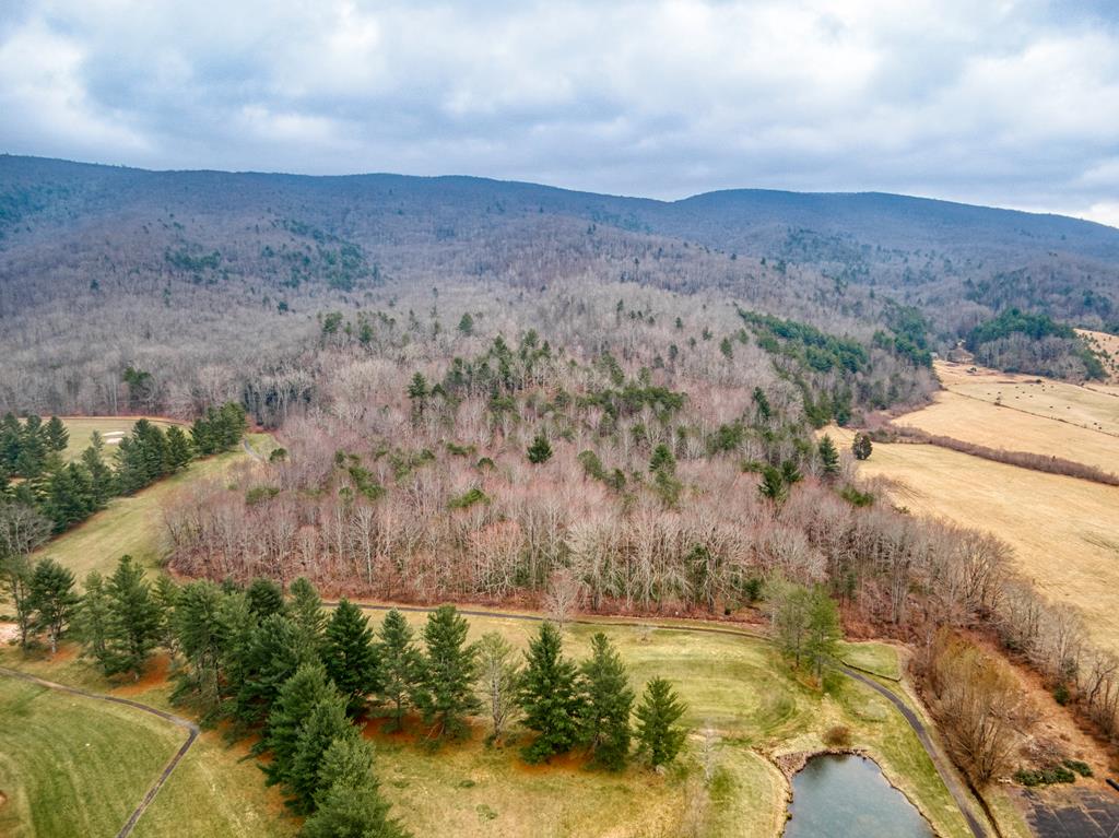 Tbd Tbd Grapefield Road Bastian, VA 24314 - Photo 26 of 39 Gallery Image 26