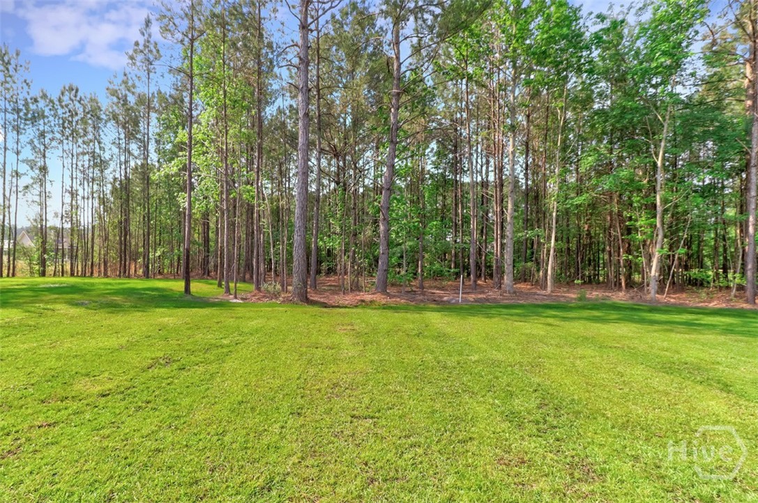 100 Robert's Road Springfield, GA 31329 - Photo 53 of 54