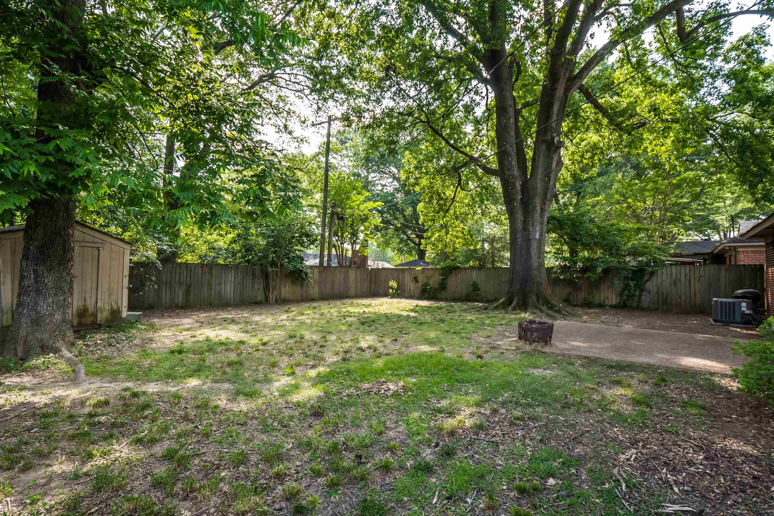 5069 Quince Road Memphis, TN 38117 - Photo 23 of 25 a backyard of a house with lots of plants and tree