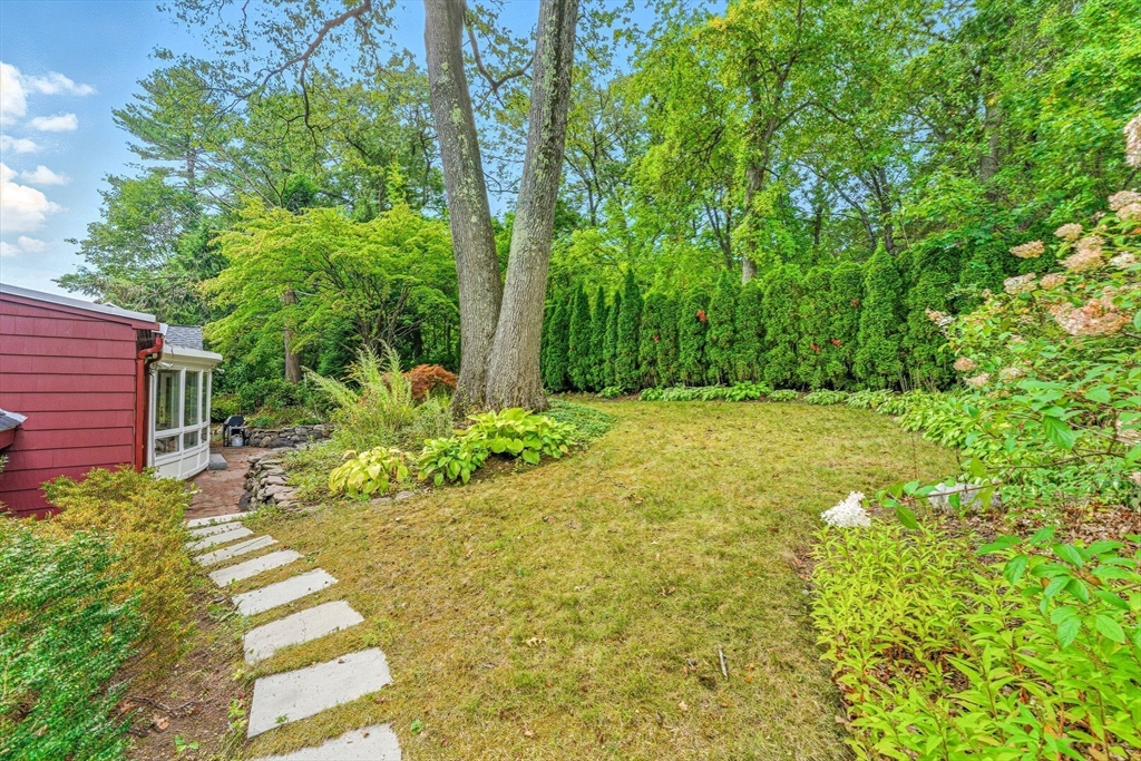 22 Burlington Street Lexington, MA 02420 - Photo 28 of 32 a view of a garden with pathway