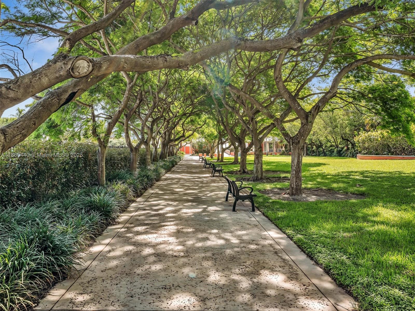 301 Sunrise Drive, Unit 1DW Key Biscayne, FL 33149 - Photo 22 of 40 a view of a street with a yard
