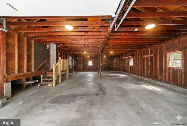 a tall tree in middle of green field