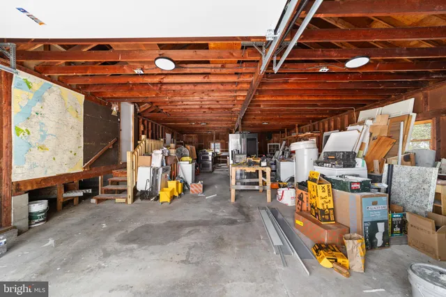 a tall tree in middle of green field