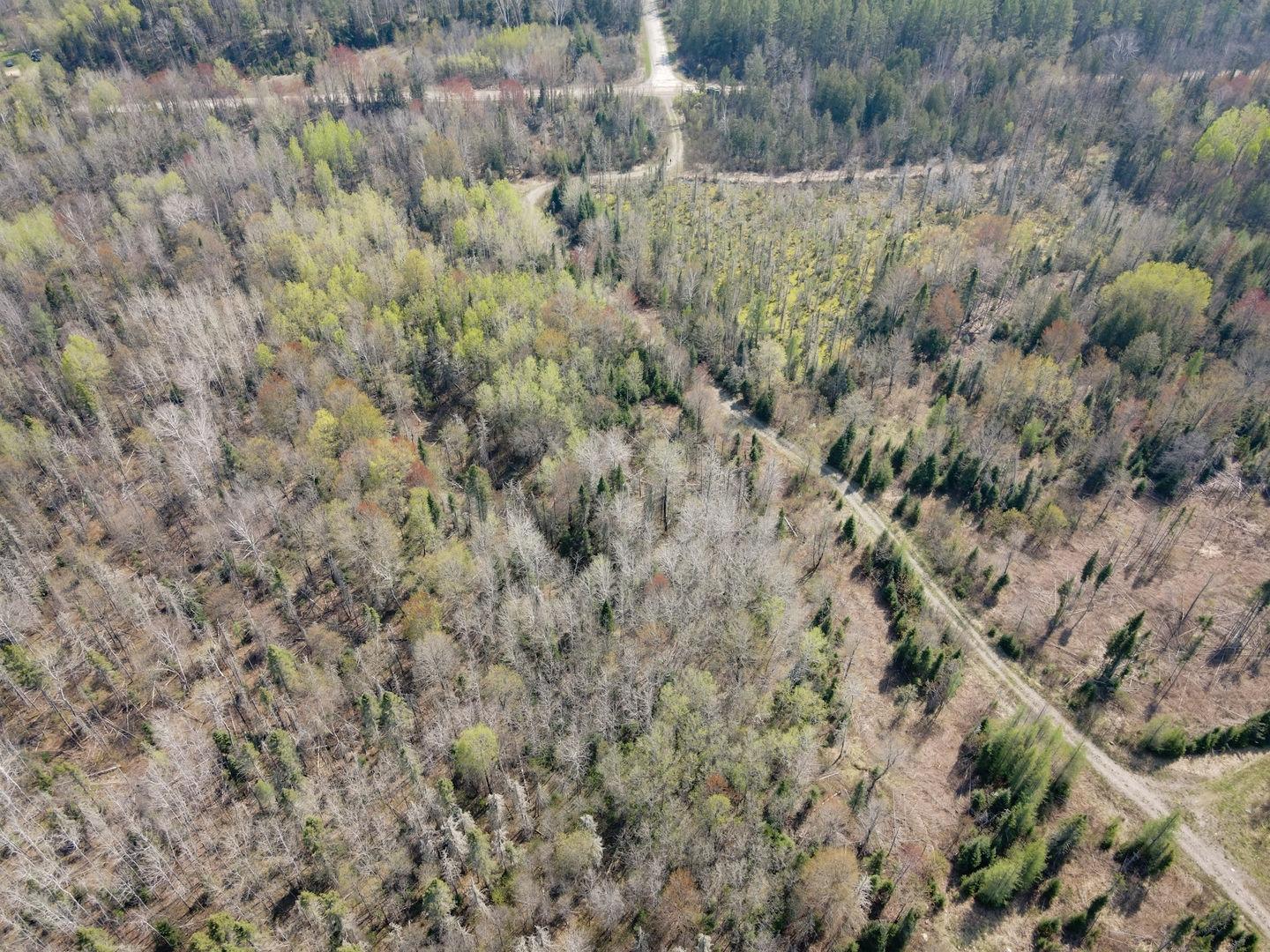 Tbd Parks Farm Road Crystal Falls, MI 49920 - Photo 9 of 11 Gallery Image 9