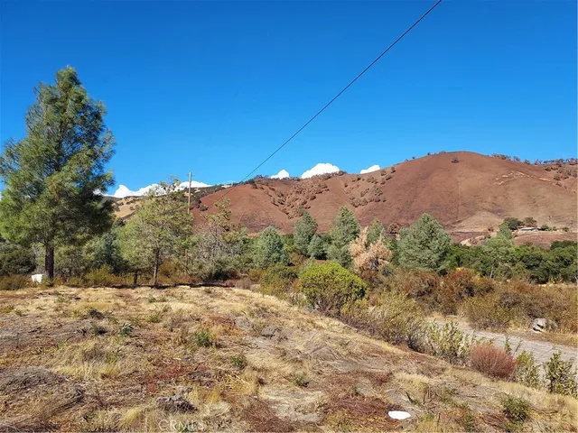a view of a dry yard