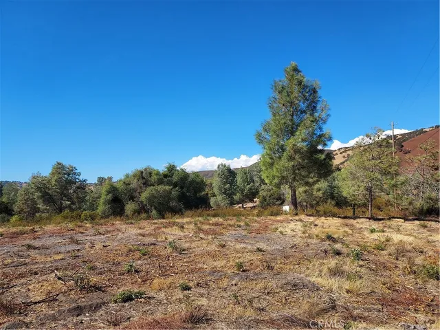 a view of a yard with a tree