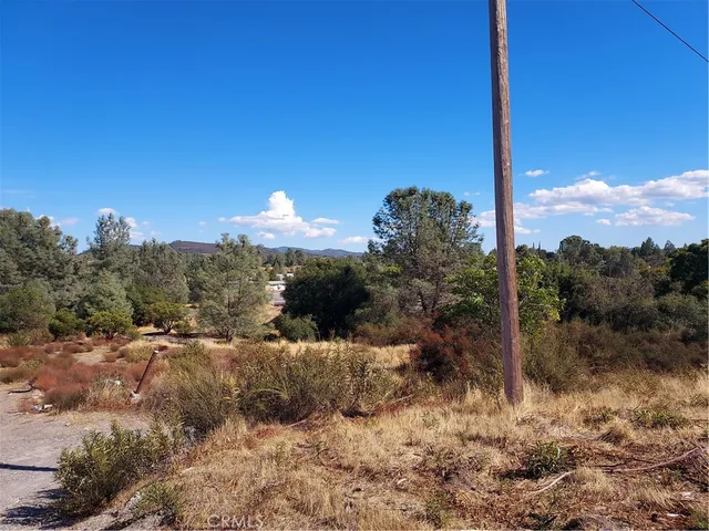 a view of a yard with mountain and a forest