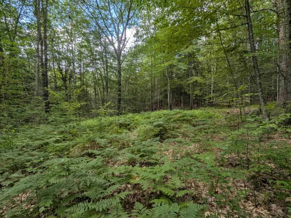 $165,000 | 66 Burton Highway, Wilton, NH 03086