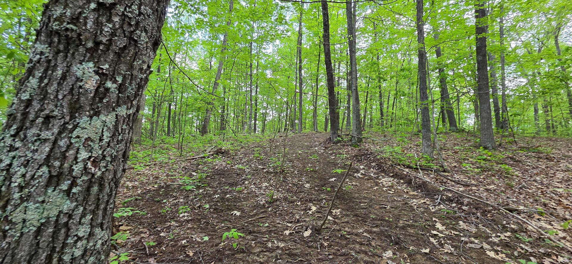 0 Edmundson Road, Unit RIDGE VIEW CABIN BIG TIMBER) Vinton, OH 45686 - Photo 60 of 67 CT-61