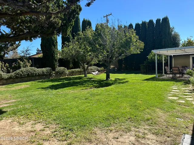 a view of a park with large trees