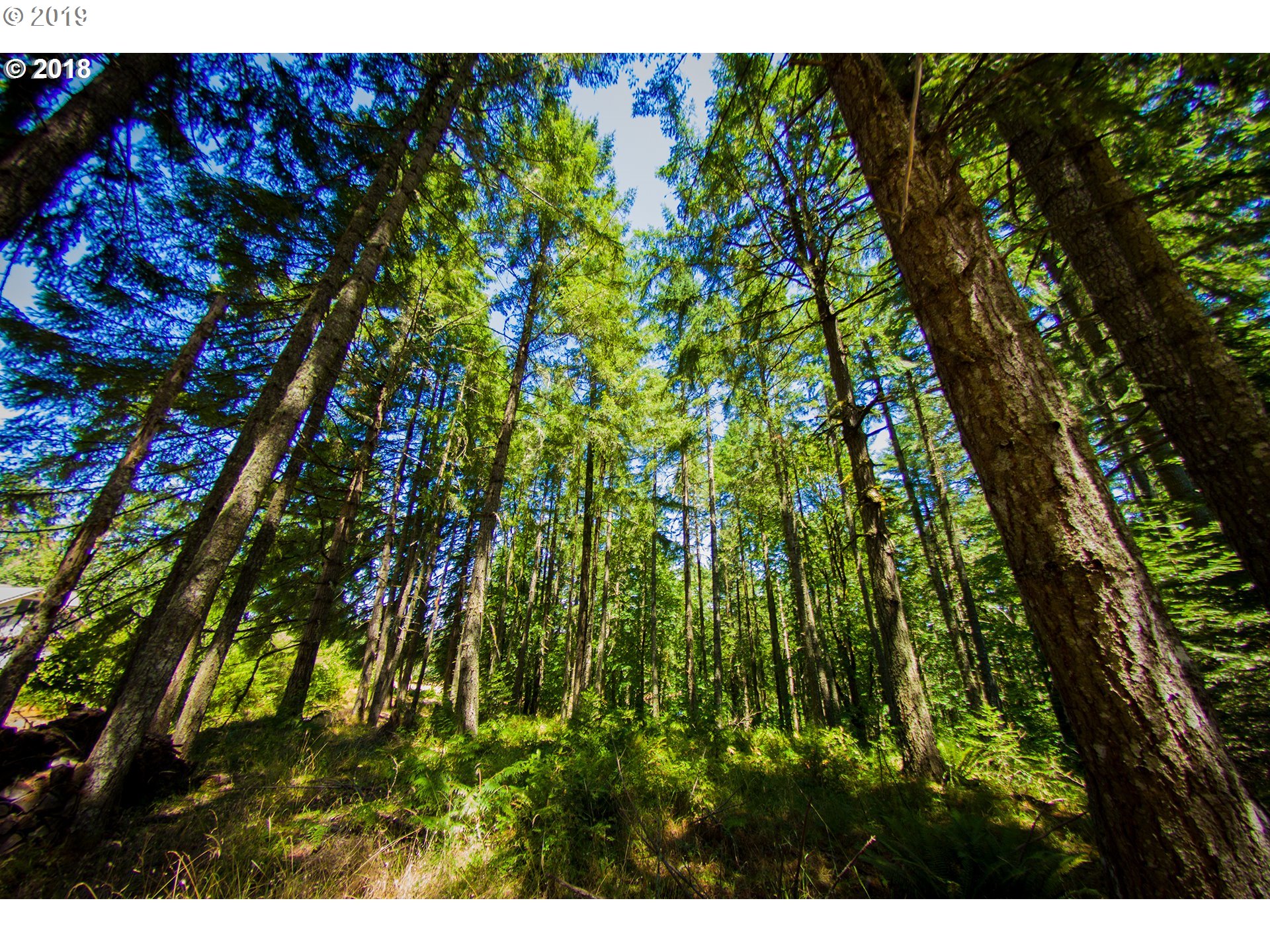 Gibraltar Loop Eugene, OR 97405 - Photo 2 of 7 Gallery Image 2