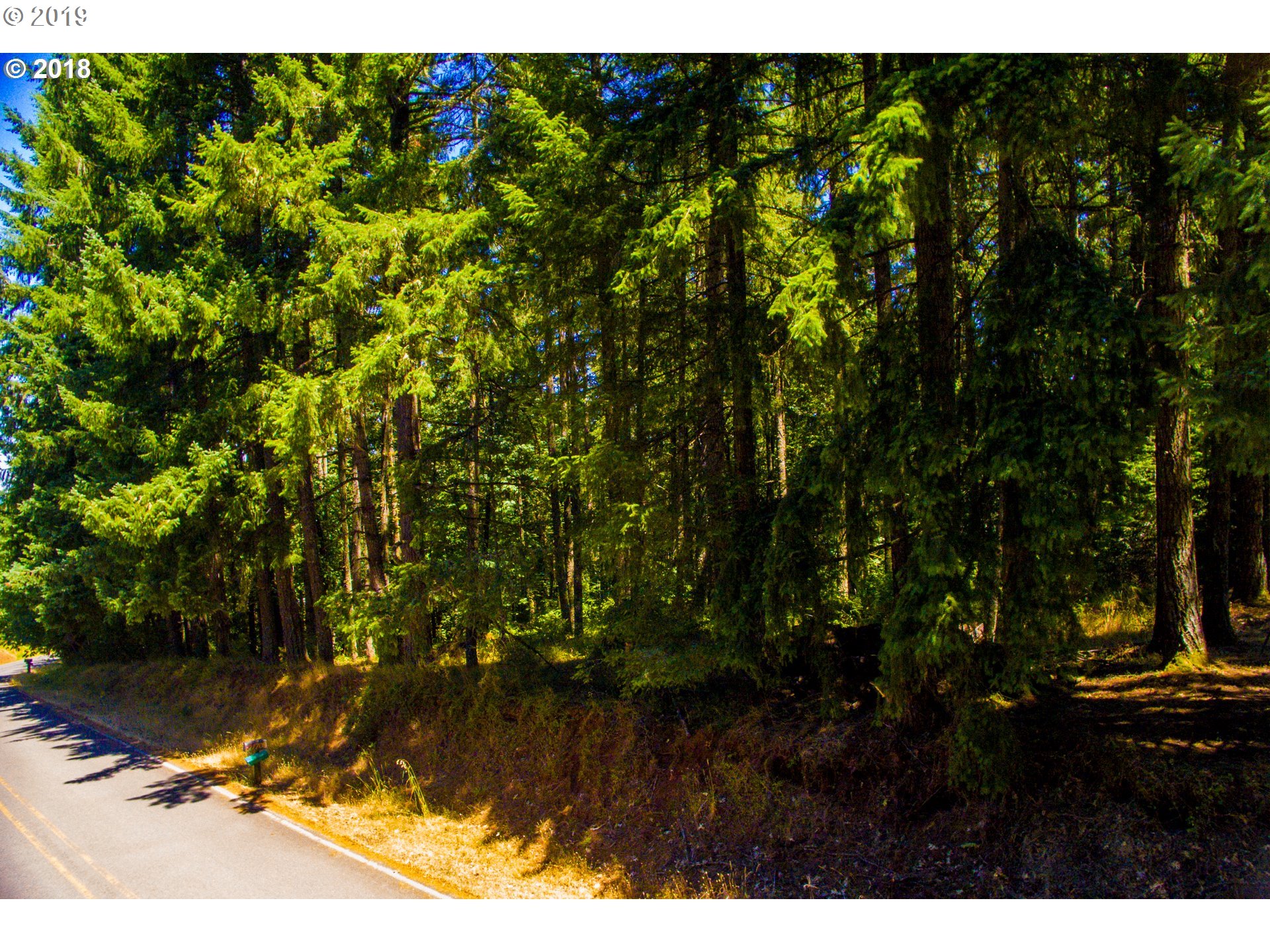 Gibraltar Loop Eugene, OR 97405 - Photo 3 of 7 Gallery Image 3