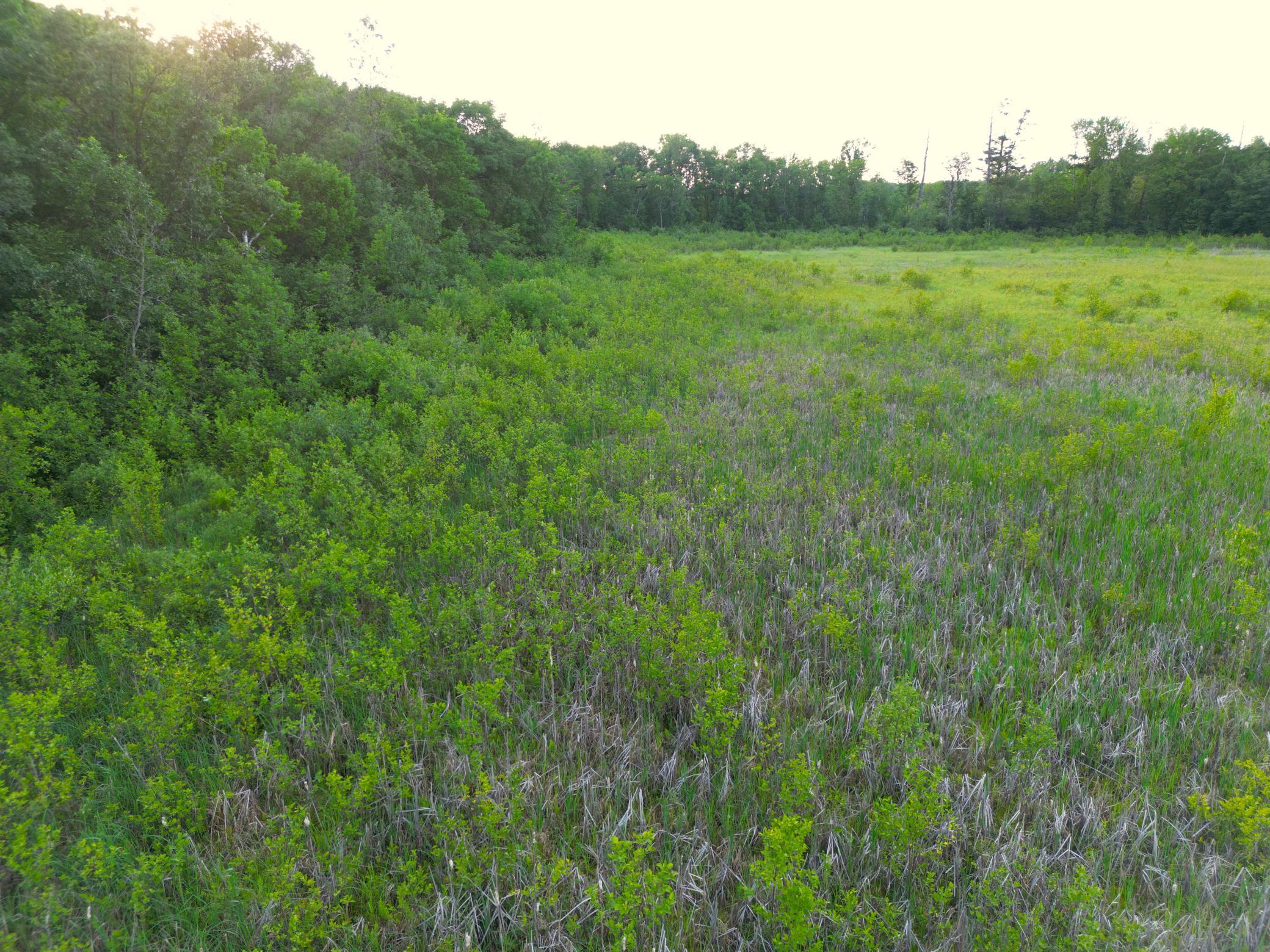 Xxx McGrew Road Isle, MN 56342 - Photo 79 of 92