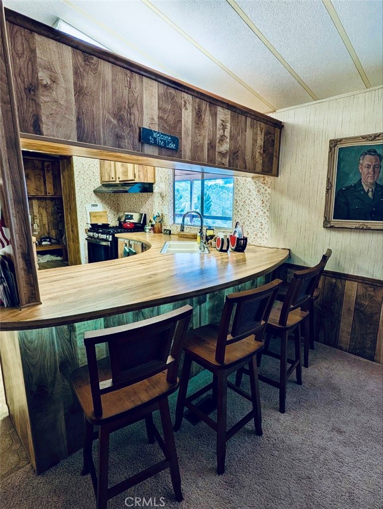 533 Rim Road Bodfish, CA 93205 - Photo 19 of 28