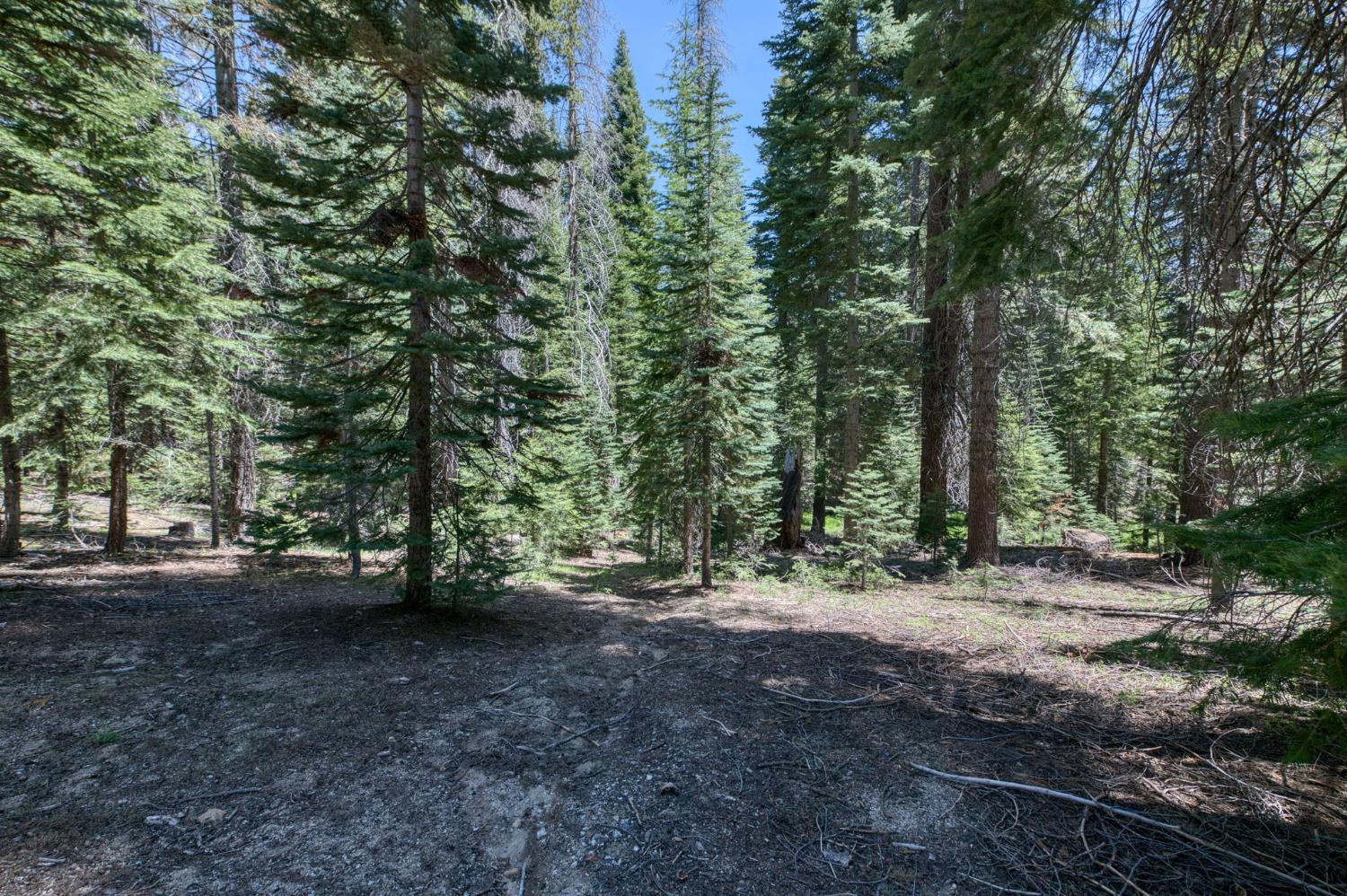 61480 Huntington Lake Road, Unit 5 Mono Hot Springs, CA 93642 - Photo 46 of 51