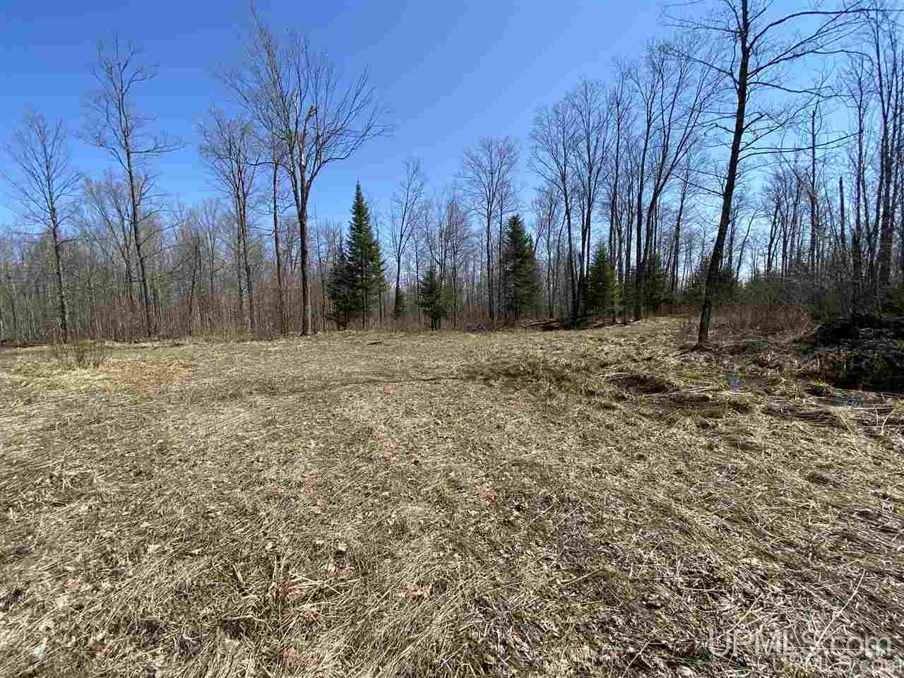 Off Nelson Road Glidden, WI 54527 - Photo 12 of 23