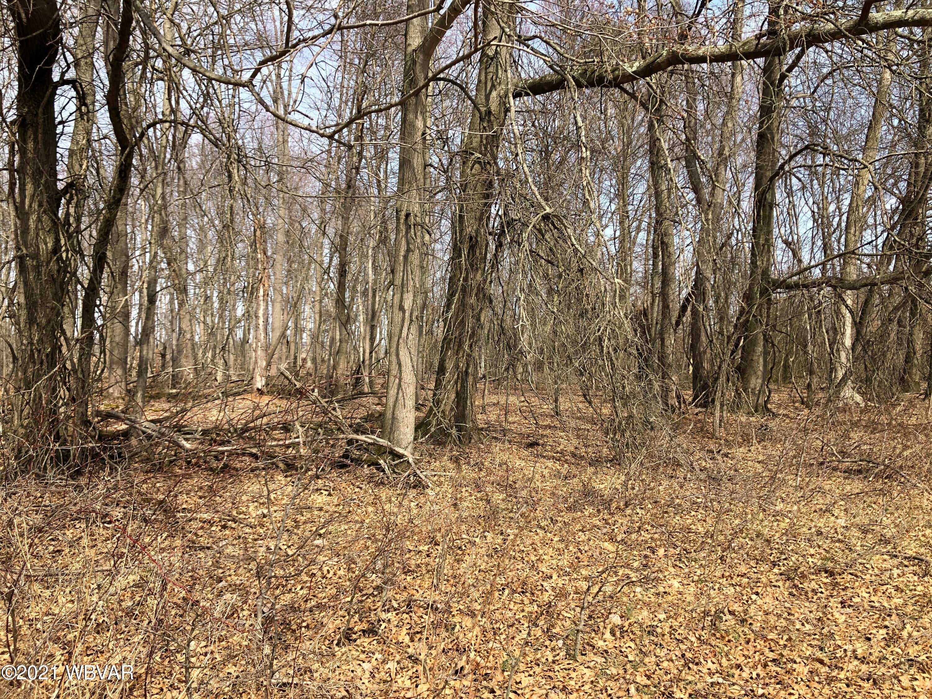 Pa-45 Route Milton, PA 17847 - Photo 7 of 17 Gallery Image 7