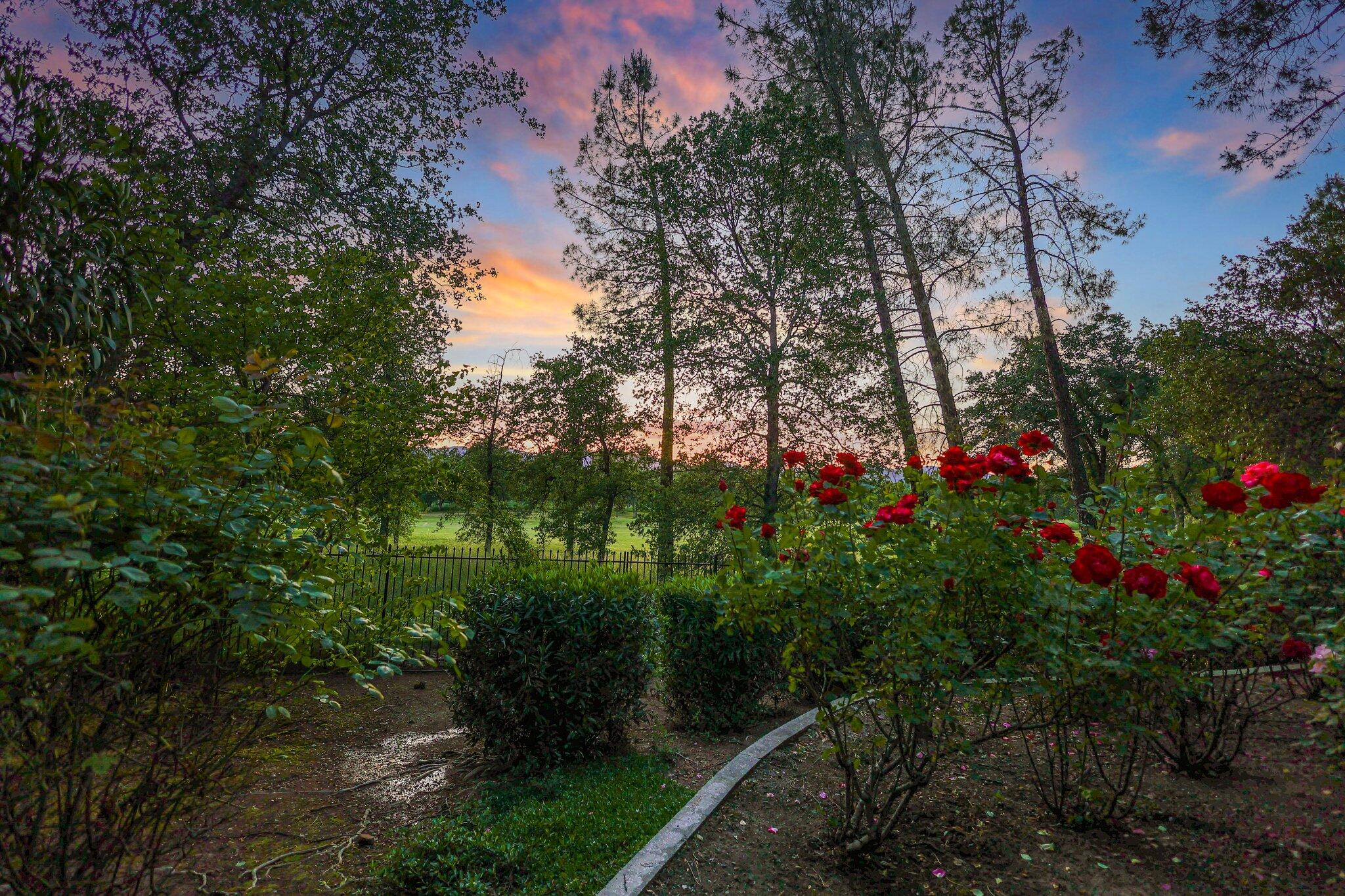 13320 Tierra Heights Road Redding, CA 96003 - Photo 40 of 48 122-web-or-mls-LZ0A0341