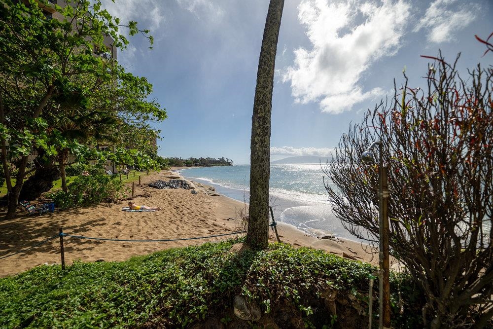 4327 Lower Honoapiilani Road, Unit 403 Lahaina, HI 96761 - Photo 33 of 42 a view of a yard with wooden fence