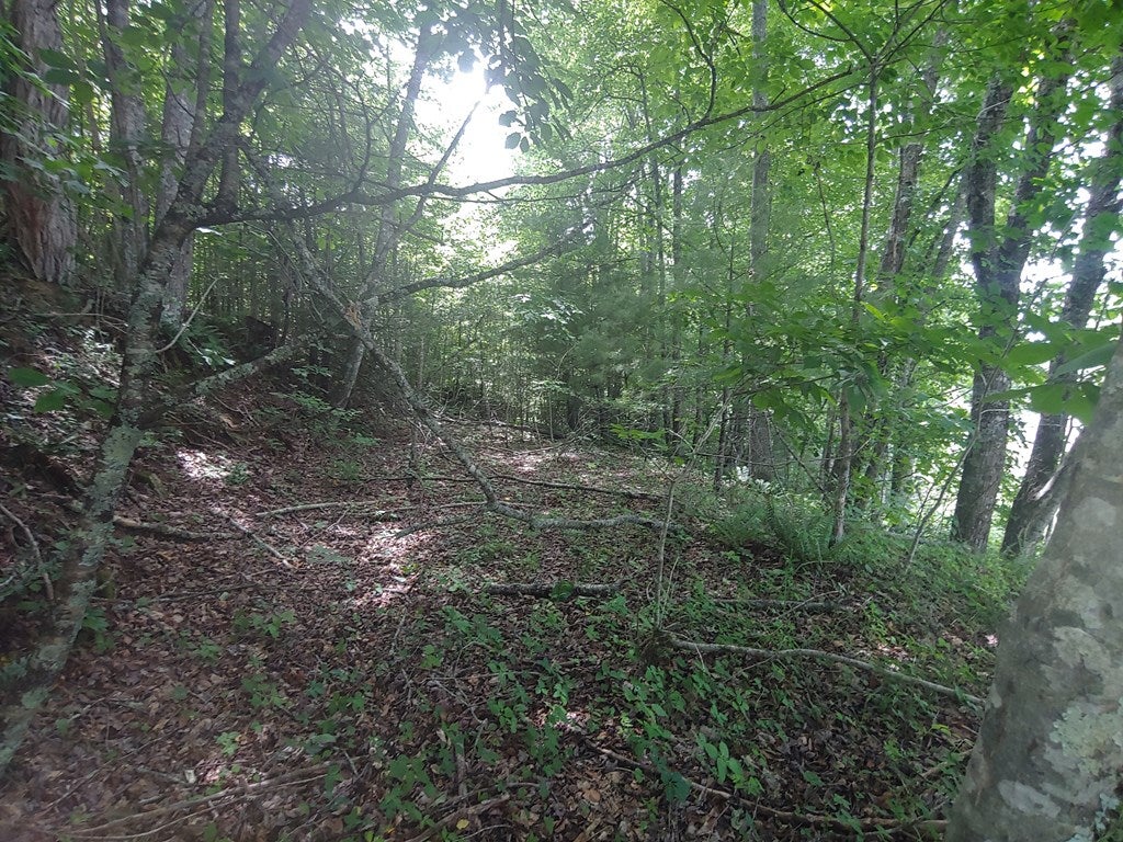 Tbd Silver Leaf Road, Unit 71A55 Dugspur, VA 24325 - Photo 20 of 33 Gallery Image 20