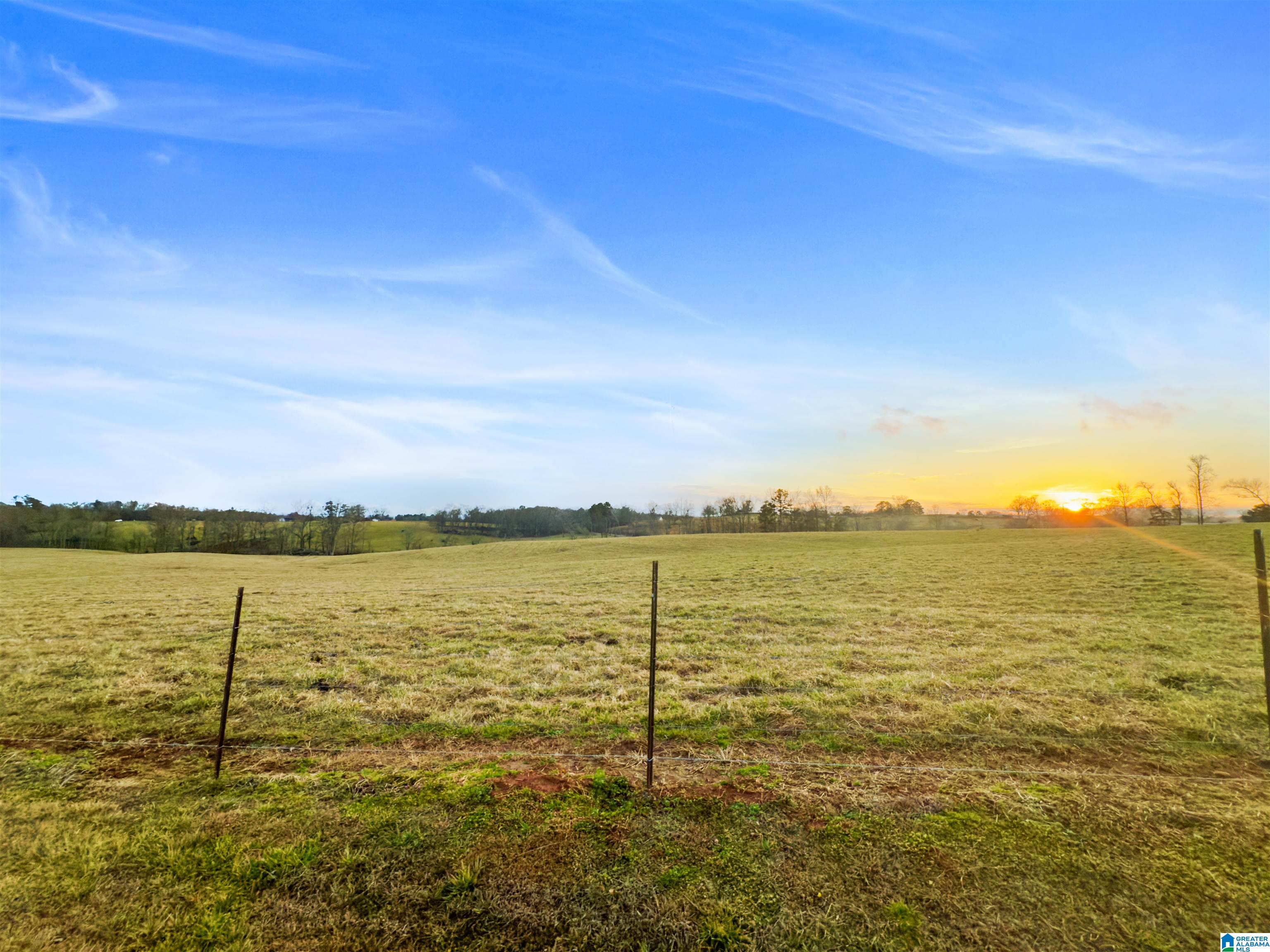 80 County Road 624 Ranburne, AL 36273 - Photo 46 of 49