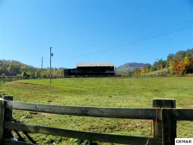 1352 Goose Gap Road Sevierville, TN 37876 - Photo 1 of 1 Gallery Image 1