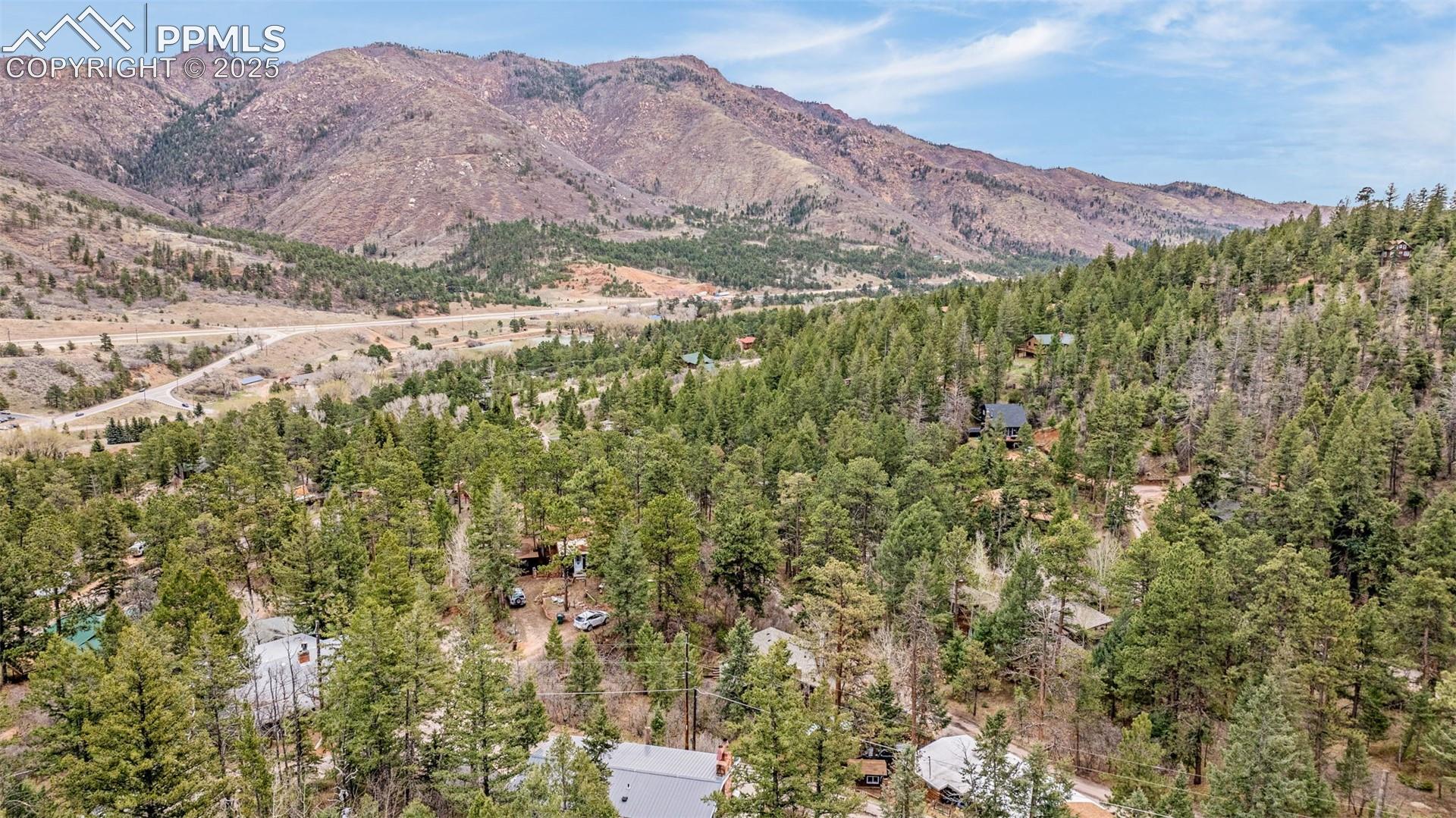 9515 Mountain Road Cascade, CO 80809 - Photo 6 of 34 Gallery Image 6