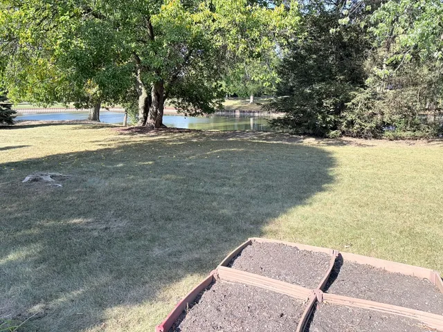 a view of yard with large trees and plants