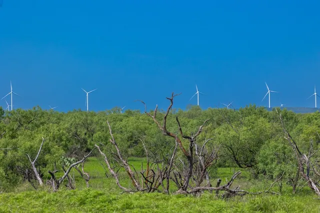 $795,000 | 88291 Suaa Rd Well, Lohn, TX 76852