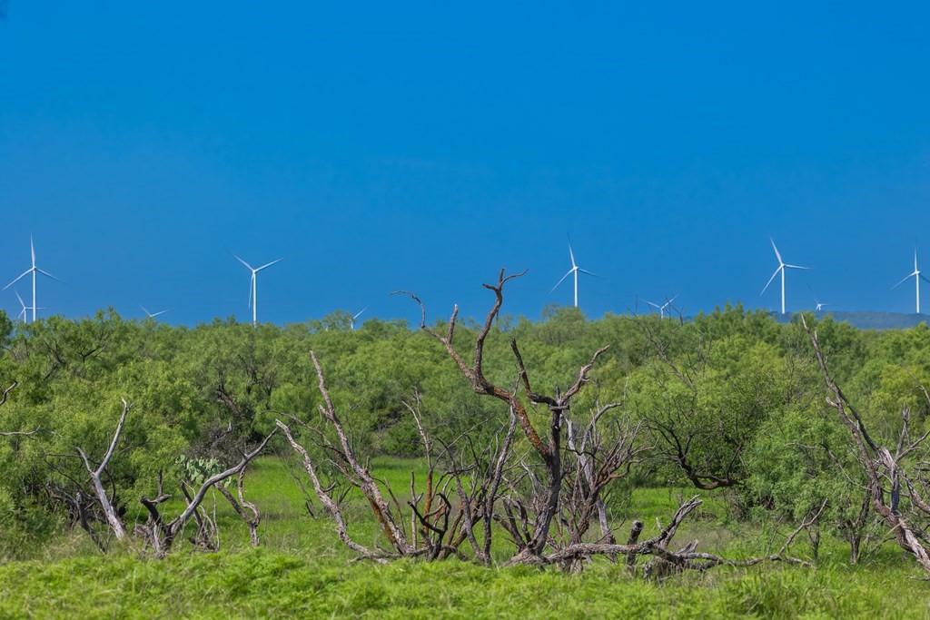 88291 Suaa Rd Well Lohn, TX 76852 - Photo 28 of 44