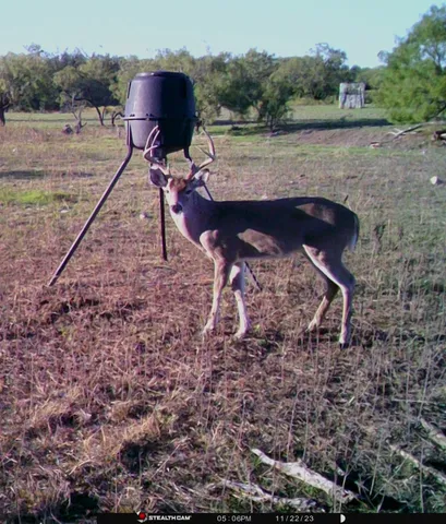 $795,000 | 88291 Suaa Rd Well, Lohn, TX 76852