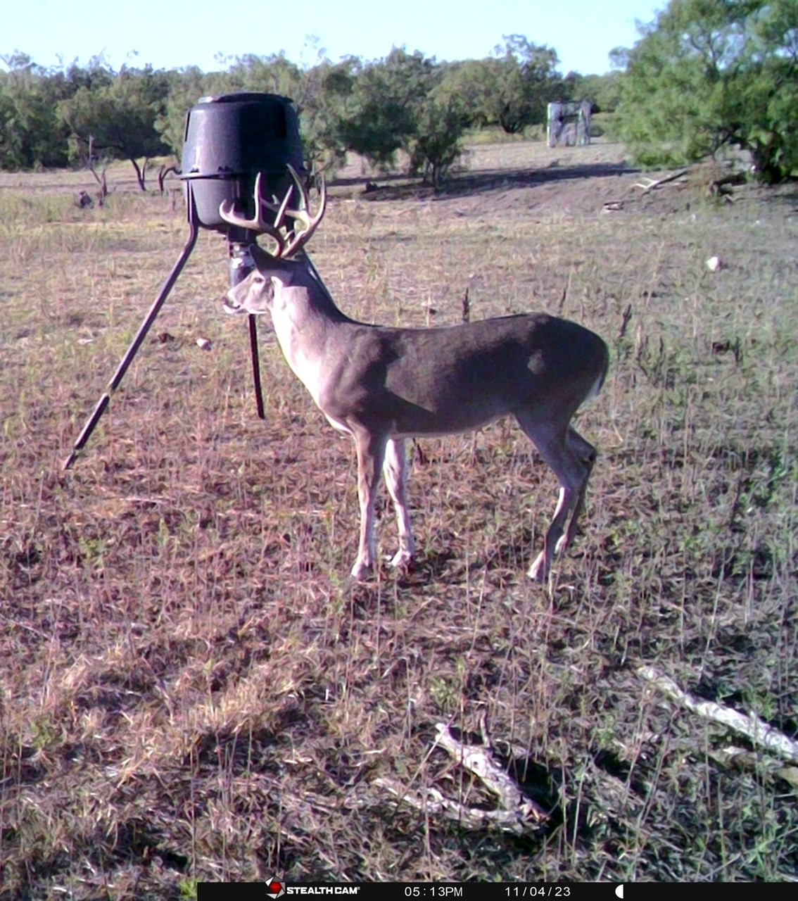 88291 Suaa Rd Well Lohn, TX 76852 - Photo 3 of 44