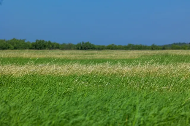 $795,000 | 88291 Suaa Rd Well, Lohn, TX 76852