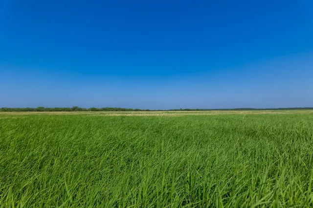 $795,000 | 88291 Suaa Rd Well, Lohn, TX 76852