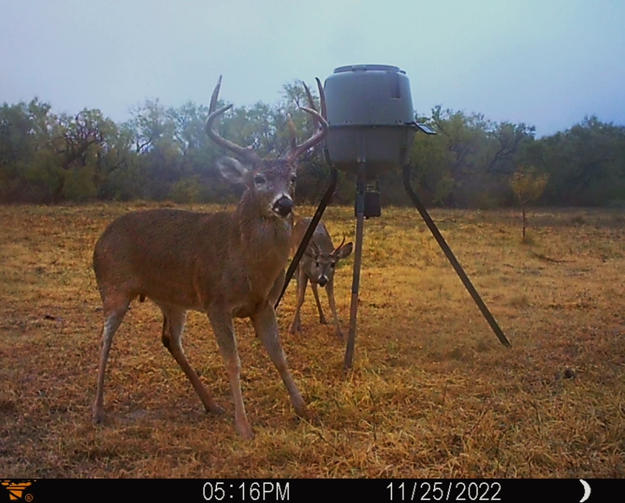 88291 Suaa Rd Well Lohn, TX 76852 - Photo 37 of 44