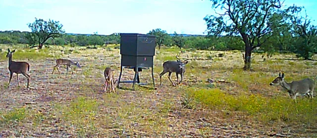 $795,000 | 88291 Suaa Rd Well, Lohn, TX 76852