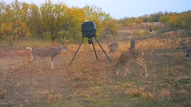 $795,000 | 88291 Suaa Rd Well, Lohn, TX 76852