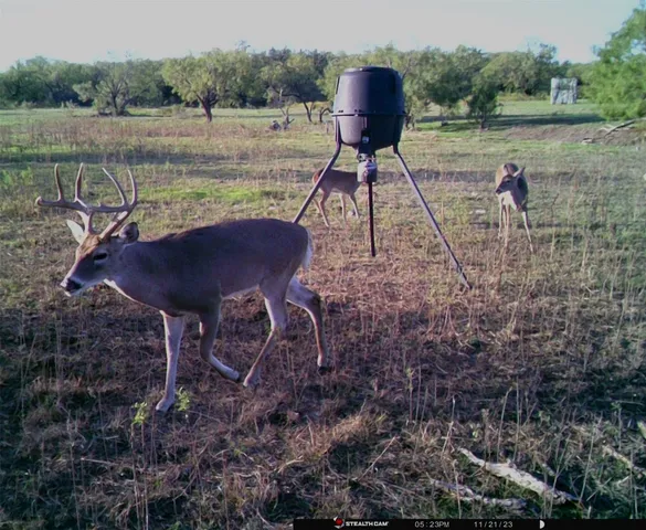 $795,000 | 88291 Suaa Rd Well, Lohn, TX 76852