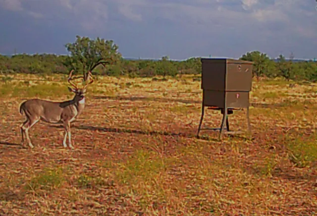 $795,000 | 88291 Suaa Rd Well, Lohn, TX 76852