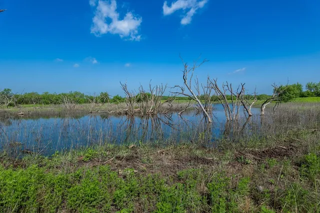 $795,000 | 88291 Suaa Rd Well, Lohn, TX 76852