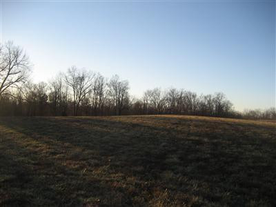 1234 Tracy Road Lawrenceburg, KY 40342 - Photo 17 of 22 Photo 17