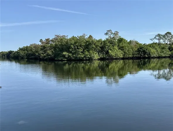 a view of a lake with a city view