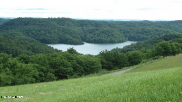 Lot 40 Swan Ridge Road Celina, TN 38551 - Photo 16 of 31 100_0043