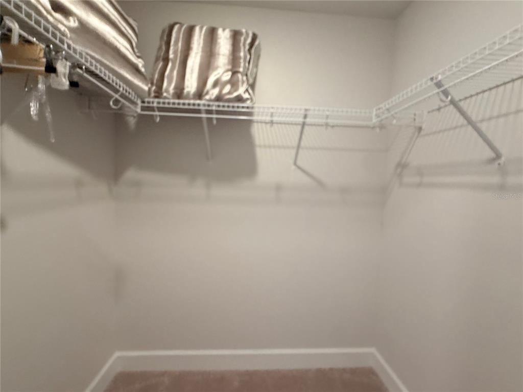 9832 Southwest 46th Court Ocala, FL 34476 - Photo 40 of 53 a view of walk in closet