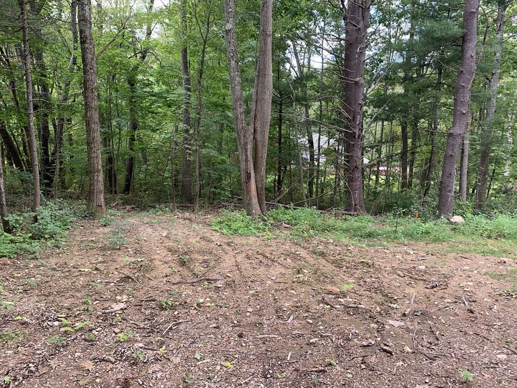 6-11 Wewe Trail Rutland, MA 01543 - Photo 3 of 8 Gallery Image 3
