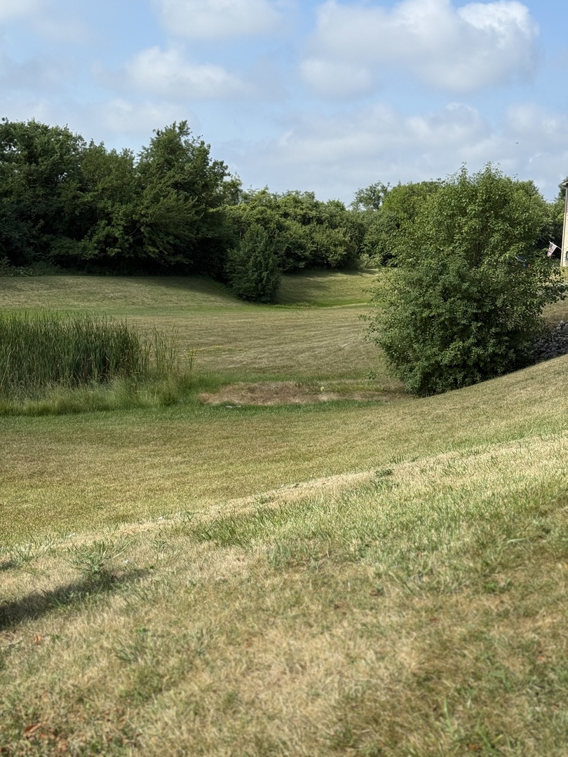 1411 Berta Drive, Unit 2N Crest Hill, IL 60403 - Photo 3 of 20 a view of a lake view