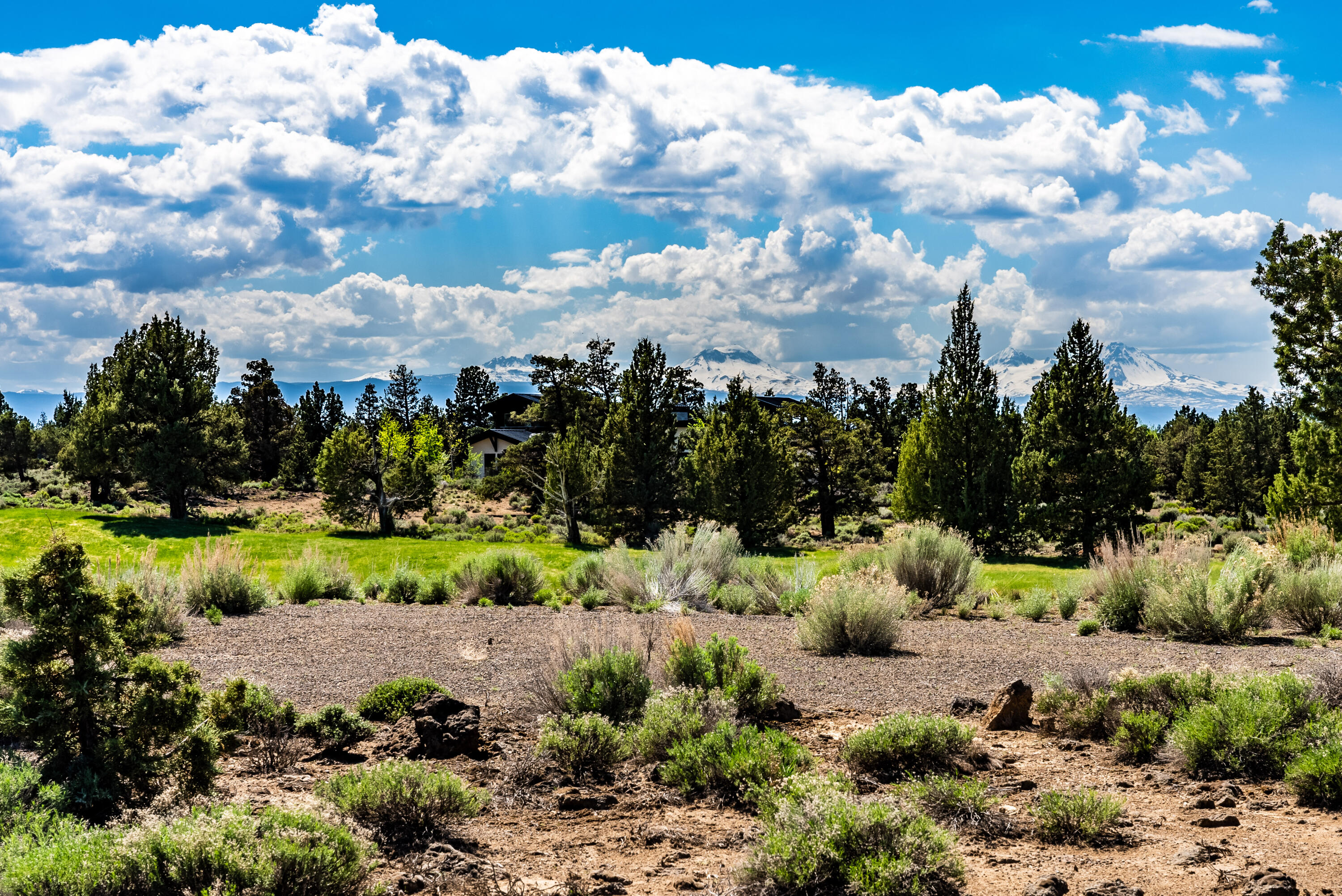 22933 Canyon View Loop, Unit LOT 186 Bend, OR 97701 - Photo 6 of 28 6.Pronghorn Lot 186-9